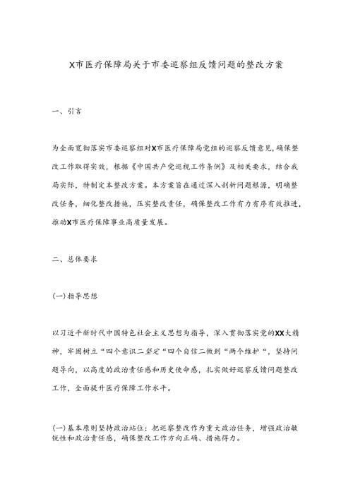 X市医疗保障局关于市委巡察组反馈问题的整改方案.docx