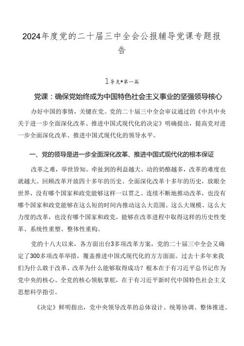 2024党的二十三中全会公报辅导党课专题报告.docx
