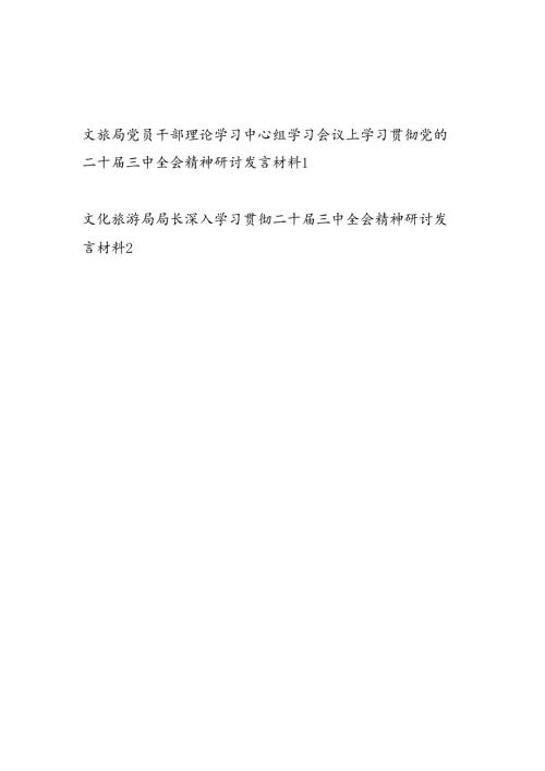 文旅局党员干部局长学习贯彻党的二十三中全会精神研讨发言材料2篇（含理论学习中心组学习会议上）.docx