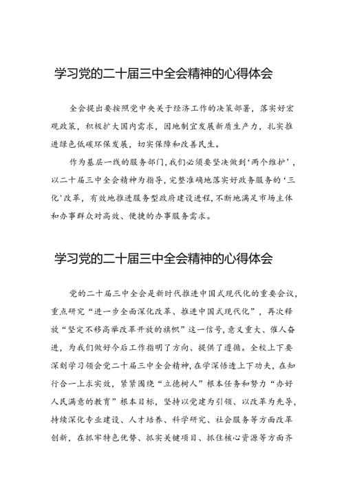 深入学习贯彻2024年党的二十三中全会精神的心得体会33篇.docx