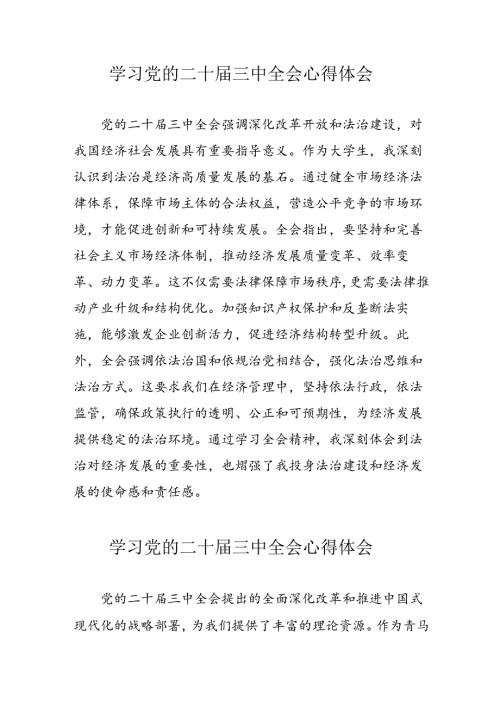 学习2024年党的二十三中全会心得体会 （13份）57.docx