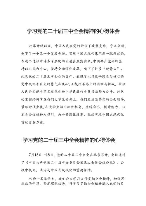 2024党员干部学习党的二十三中全会精神的心得体会发言稿28篇.docx