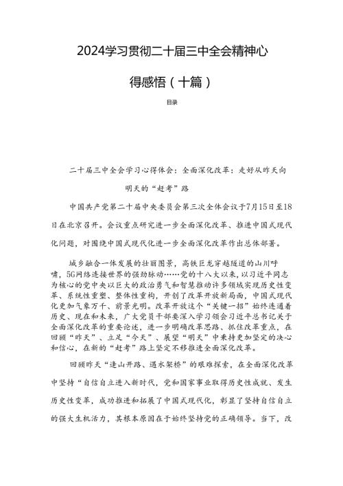 2024学习贯彻二十三中全会精神心得感悟（十篇）.docx