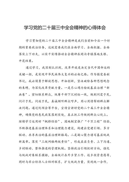 2024党员学习贯彻党的二十三中全会精神心得体会13篇.docx