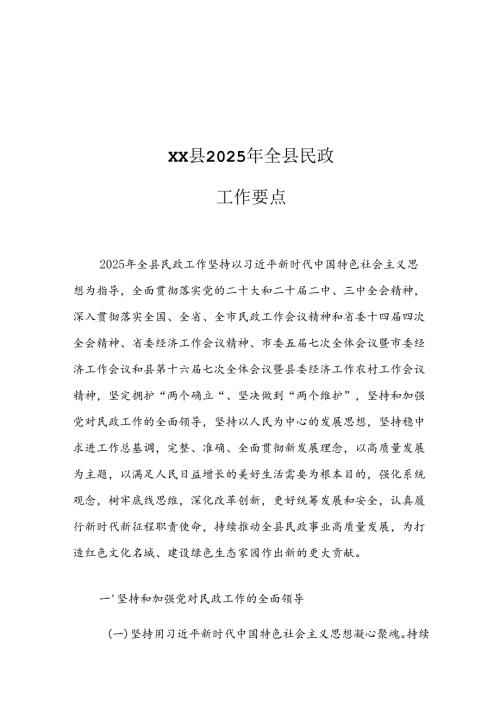 XX县2025年全县民政工作要点.docx