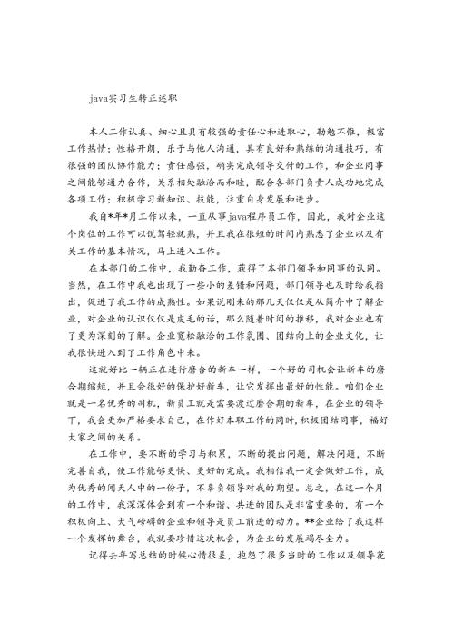 java实习生转正述职.docx