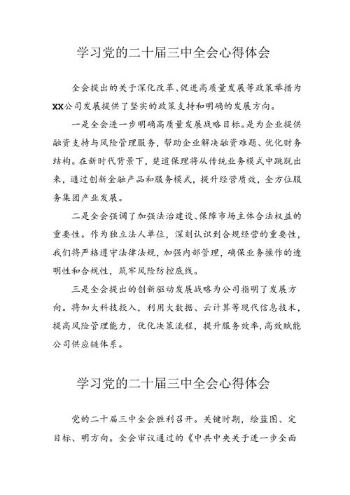 学习2024年学习党的二十三中全会个人心得感悟 （3份）49(1).docx