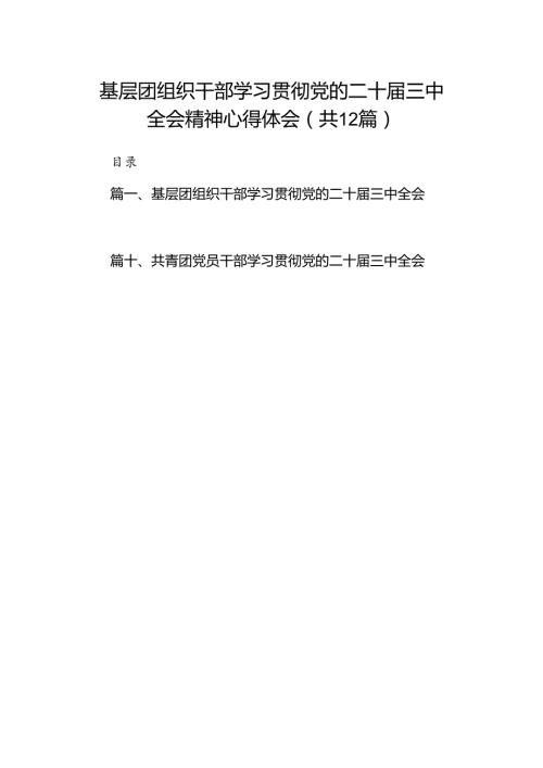 基层团组织干部学习贯彻党的二十三中全会精神心得体会12篇（精选）.docx