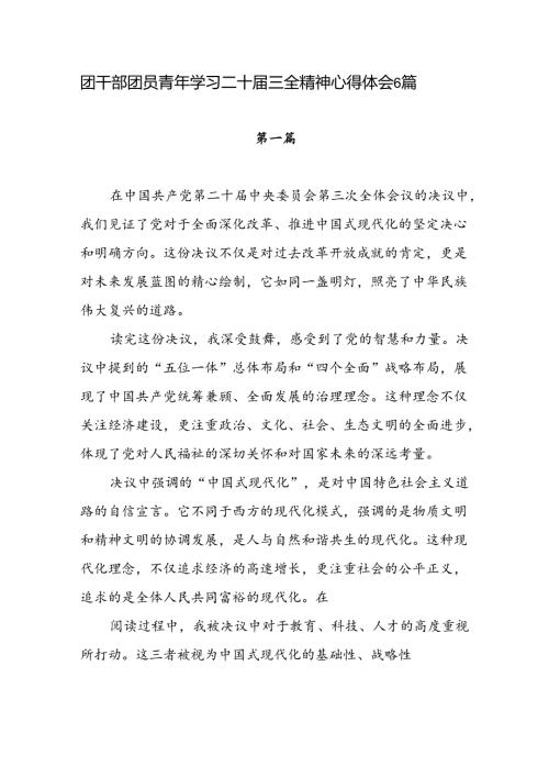2024年团干部团员青年学习二十三中全会精神心得体会感想研讨发言6篇.docx