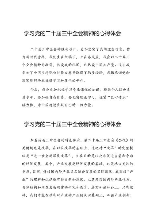 学习党的二十三中全会的心得体会.docx