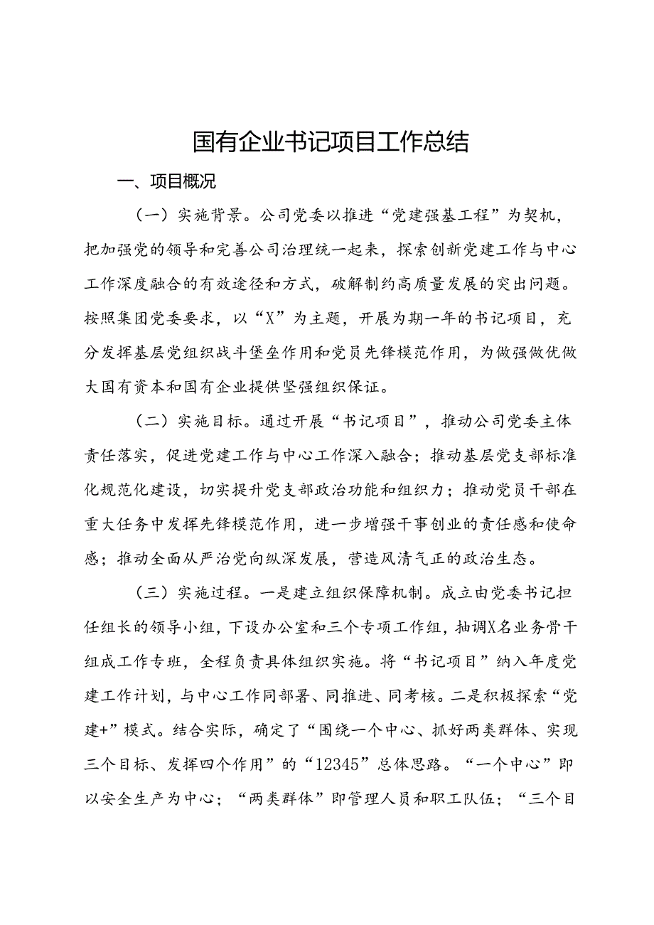 国有企业书记项目工作总结(1).docx_第1页