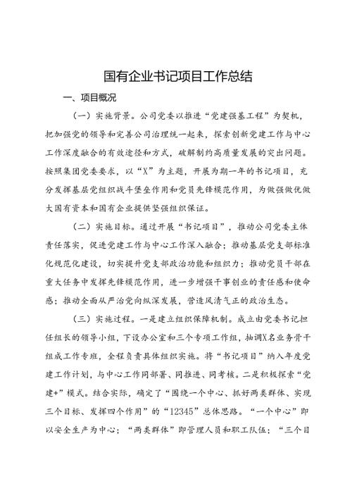 国有企业书记项目工作总结(1).docx