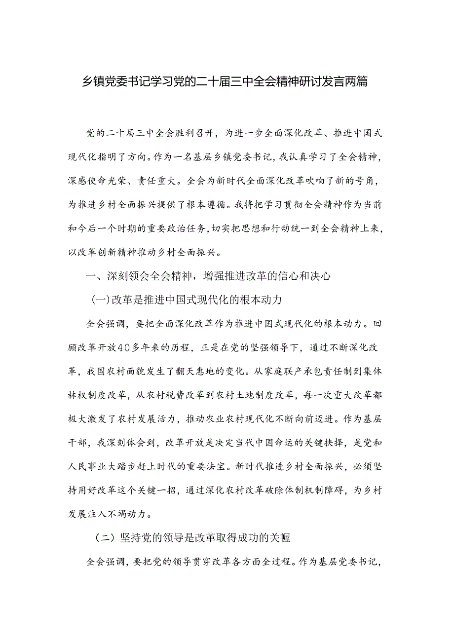 乡镇党委书记学习党的二十三中全会精神研讨发言两篇.docx_第1页