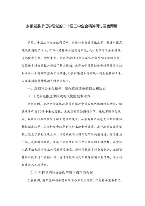 乡镇党委书记学习党的二十三中全会精神研讨发言两篇.docx