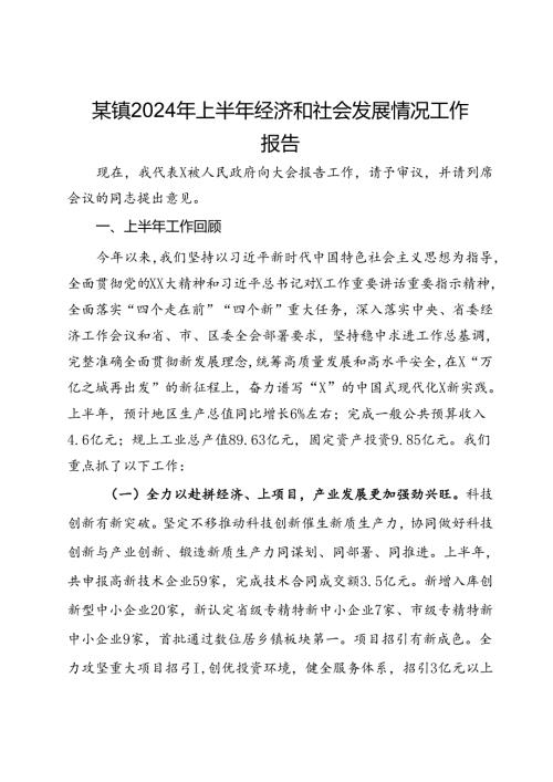 某镇2024年上半年经济和社会发展情况工作报告(1).docx