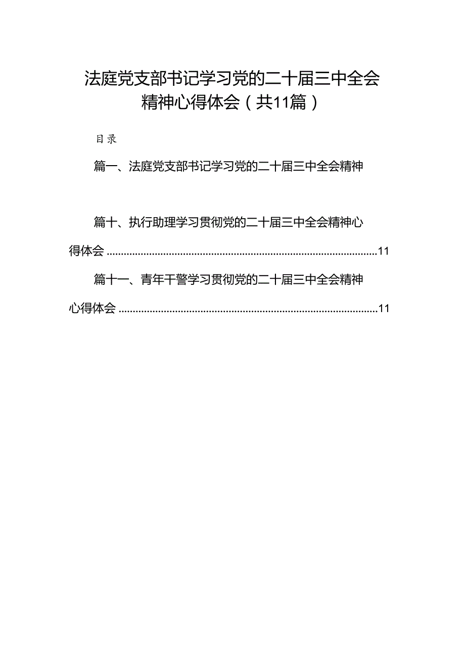 （11篇）法庭党支部书记学习党的二十三中全会精神心得体会（详细版）.docx_第1页