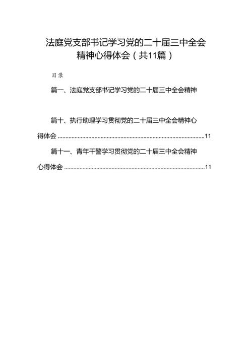 （11篇）法庭党支部书记学习党的二十三中全会精神心得体会（详细版）.docx