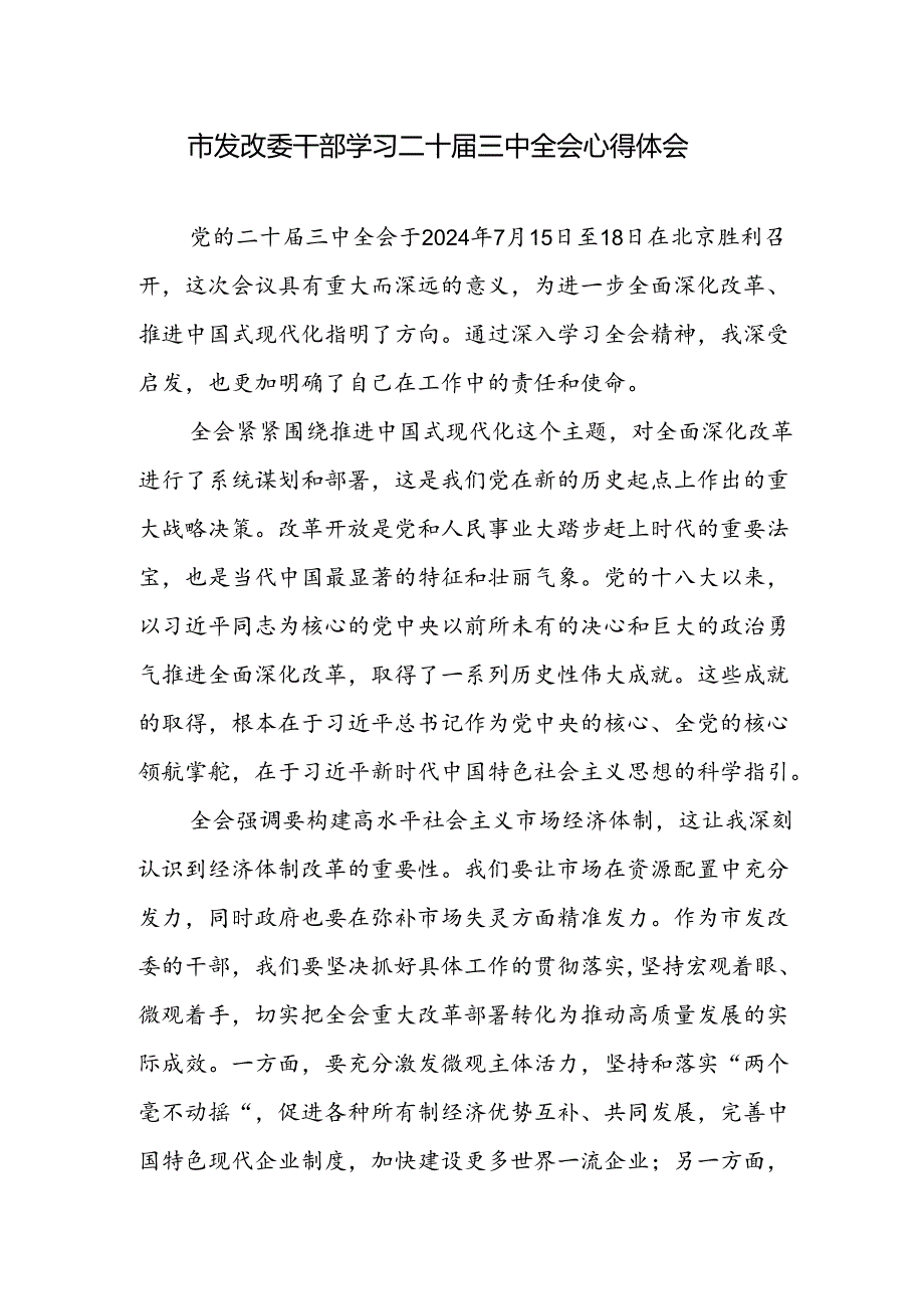 发改委领导干部学习党的二十三中全会精神心得体会感想研讨发言.docx_第1页