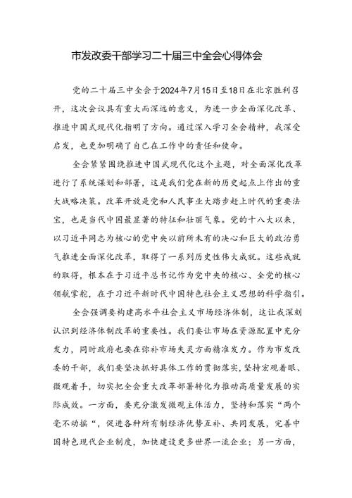 发改委领导干部学习党的二十三中全会精神心得体会感想研讨发言.docx