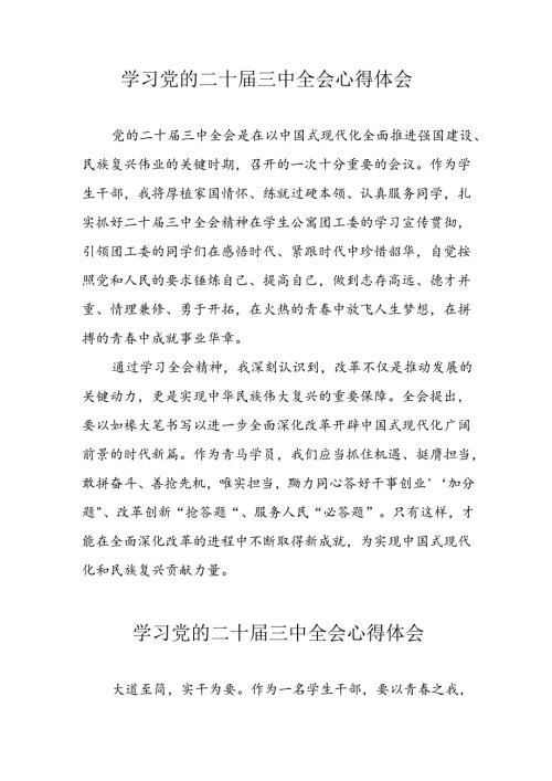 学习2024年党的二十三中全会心得体会 （11份）71.docx