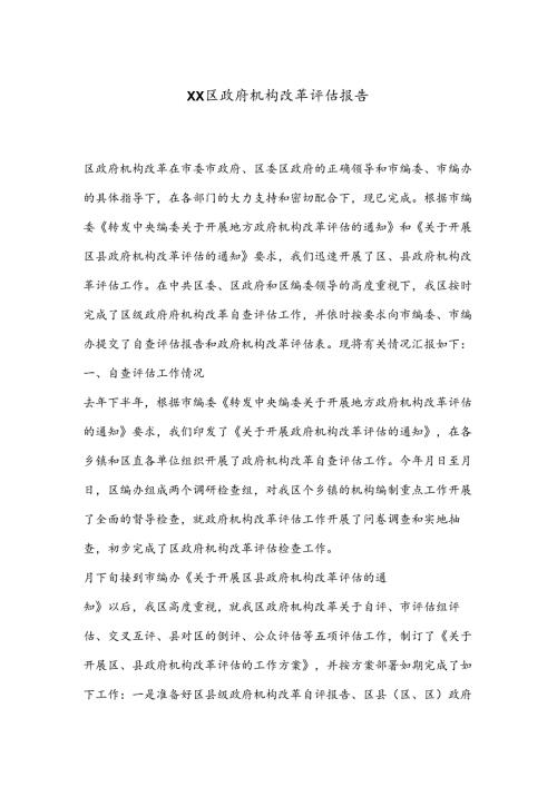 XX区政府机构改革评估报告.docx