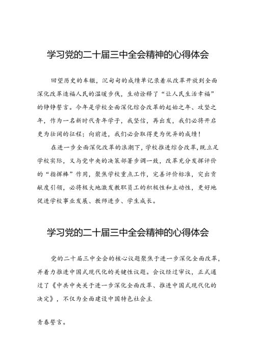 学习二十三中全会心得体会模板二十六篇.docx