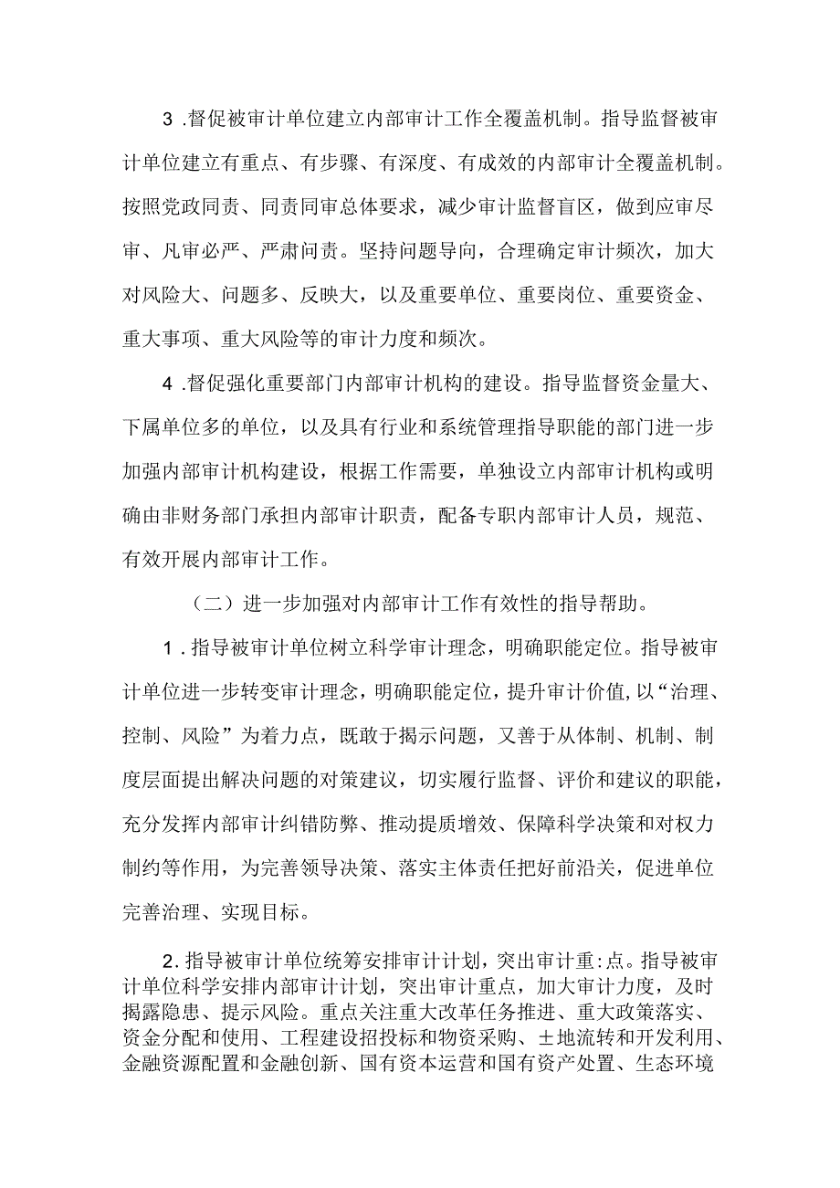 2024内部审计业务指导和监督工作实施方案.docx_第3页
