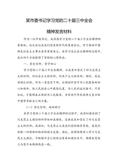 以某市委书记学习党的二十三中全会精神发言材料.docx