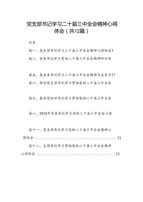 党支部书记学习二十三中全会精神心得体会（共12篇）.docx