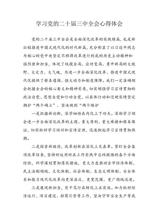 学习2024年学习党的二十三中全会个人心得感悟 （7份）59.docx