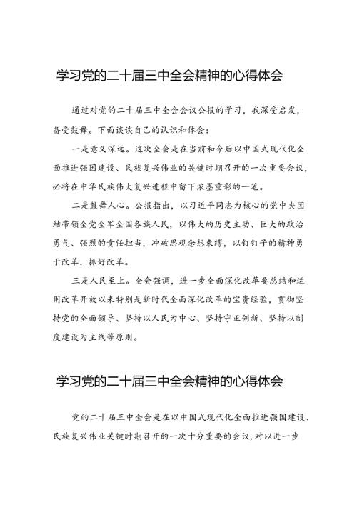 学习2024年二十三中全会精神心得体会十七篇.docx
