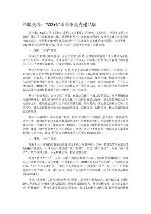 经验交流：“333+N”体系擦亮党建品牌.docx