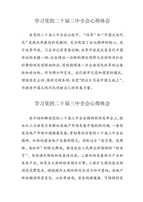学习2024年党的二十三中全会心得体会 （11份）100.docx