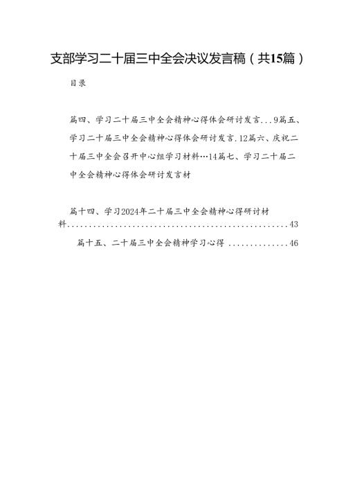 支部学习二十三中全会决议发言稿（共15篇）.docx
