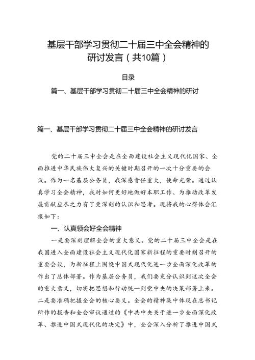 （10篇）基层干部学习贯彻二十三中全会精神的研讨发言（详细版）.docx
