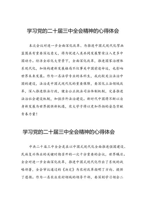 2024年党的二十三中全会精神的心得体会汇编三十篇.docx