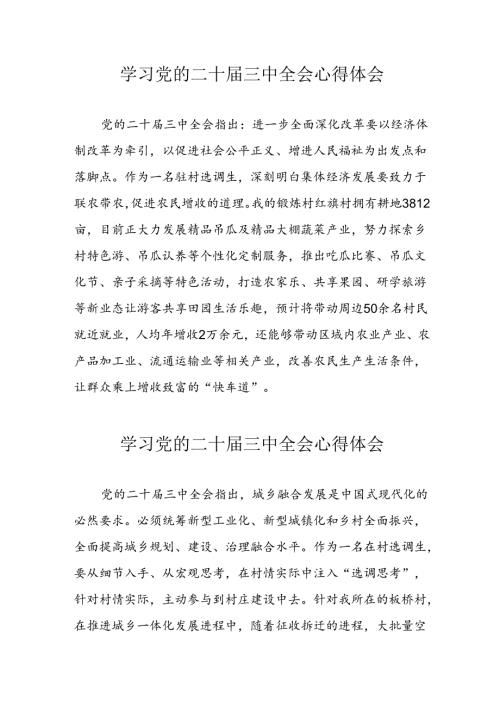 学习2024年党的二十三中全会心得体会 （16份）52.docx