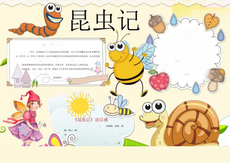 手抄小报昆虫小报5.docx_第1页
