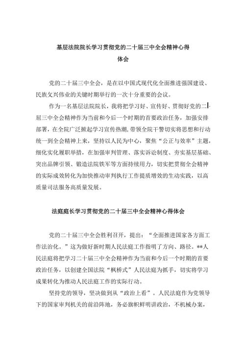 基层法院院长学习贯彻党的二十三中全会精神心得体会8篇（精选）.docx