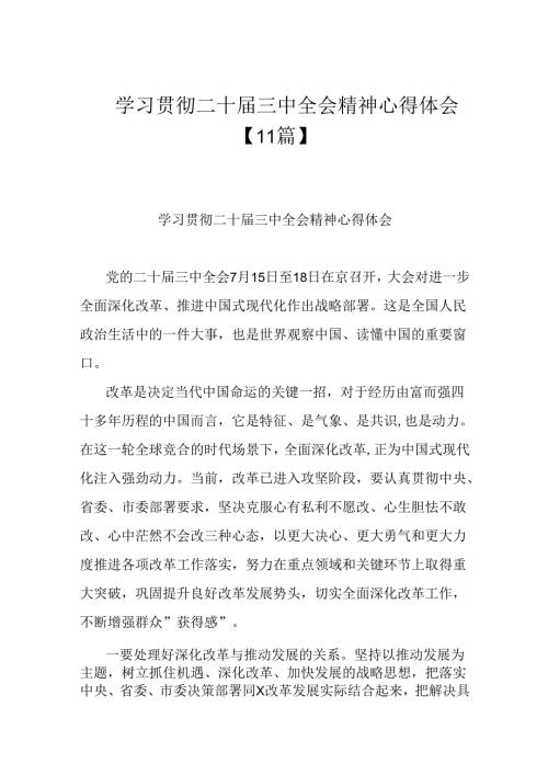 学习贯彻二十三中全会精神心得体会【11篇】.docx