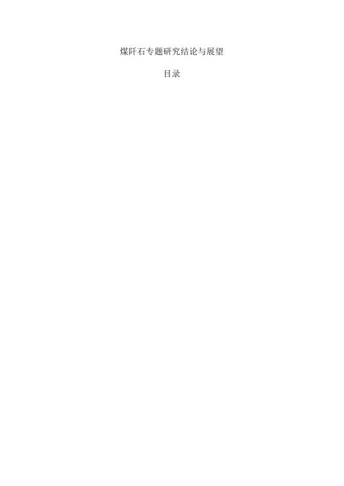 煤矸石专题研究结论与展望.docx