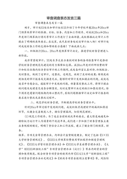 审查调查表态发言三篇.docx