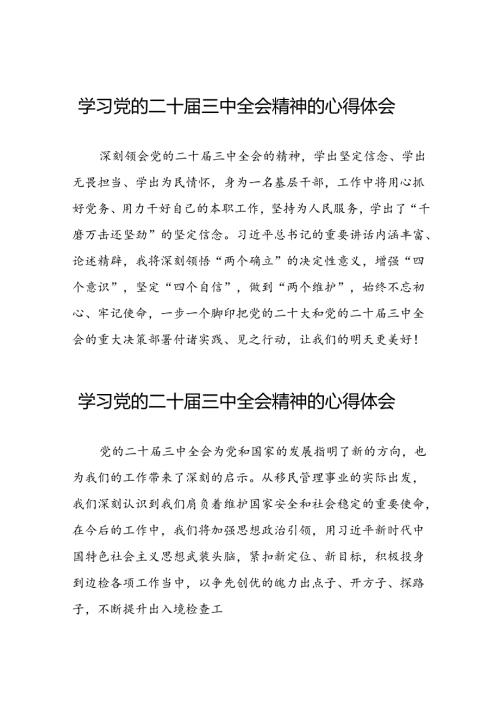 学习2024年党的二十三中全会精神的心得体会十七篇.docx