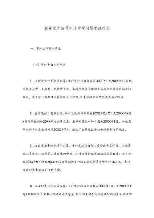 党费收支情况审计发现问题整改报告.docx