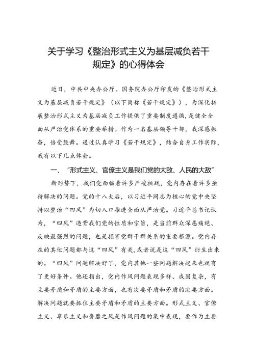 关于学习贯彻《整治形式主义为基层减负若干规定》心得体会研讨交流发言七篇.docx