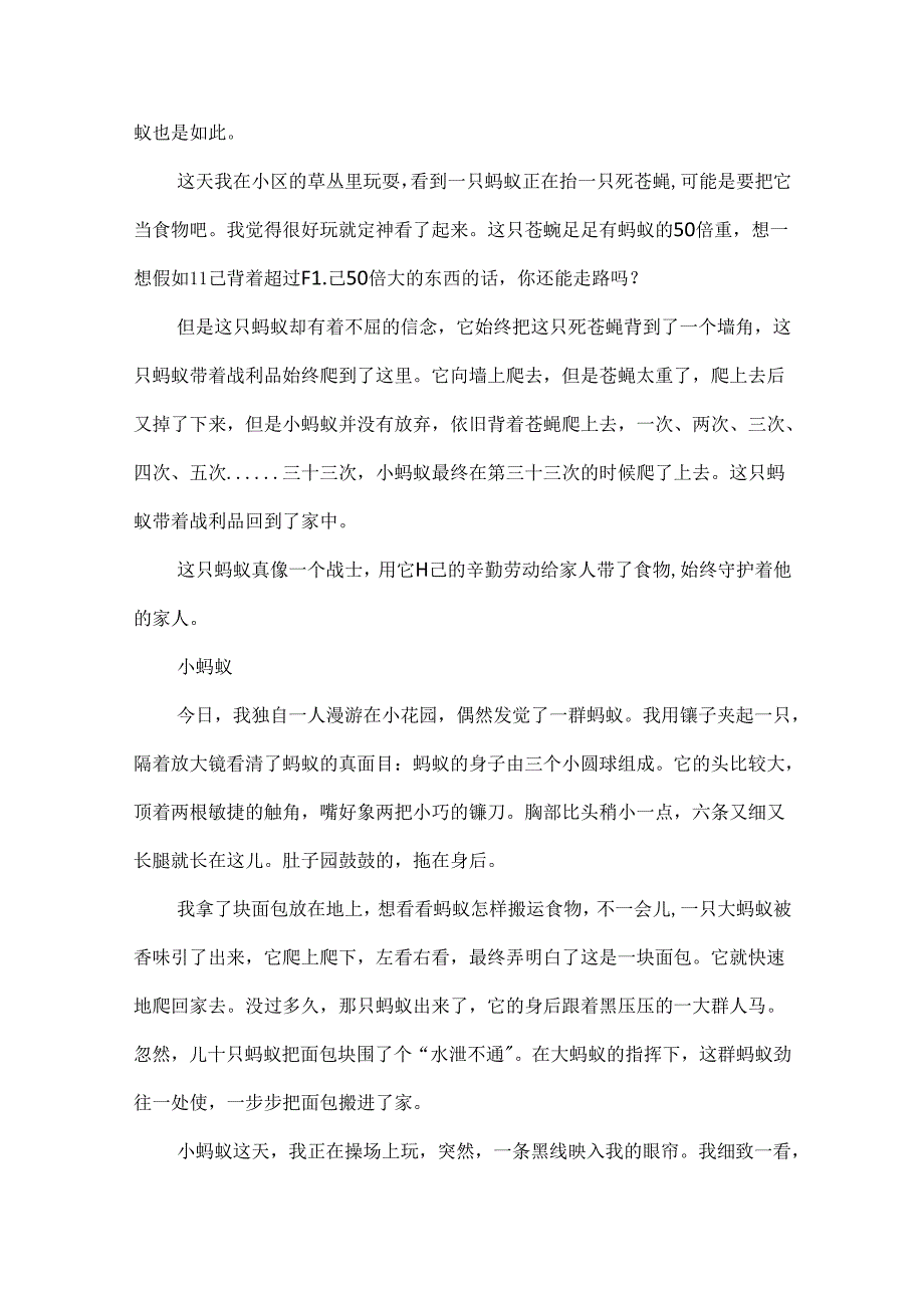 小练笔教案模板.docx_第2页