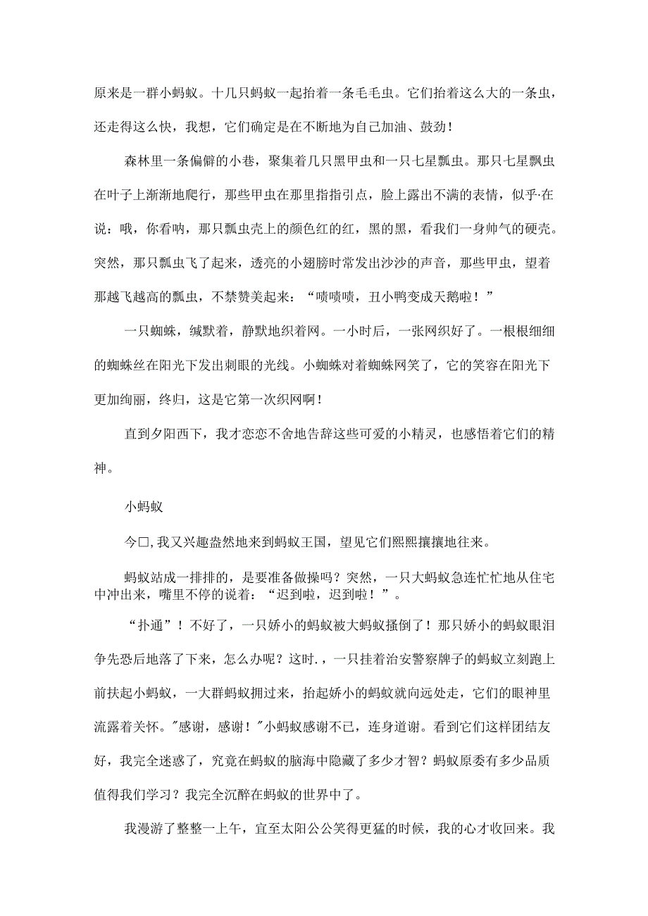 小练笔教案模板.docx_第3页