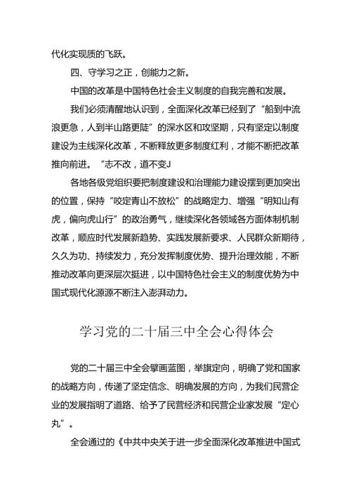 2024年学习学习党的二十三中全会个人心得体会.docx