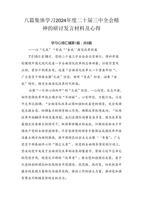 八篇集体学习2024二十三中全会精神的研讨发言材料及心得.docx