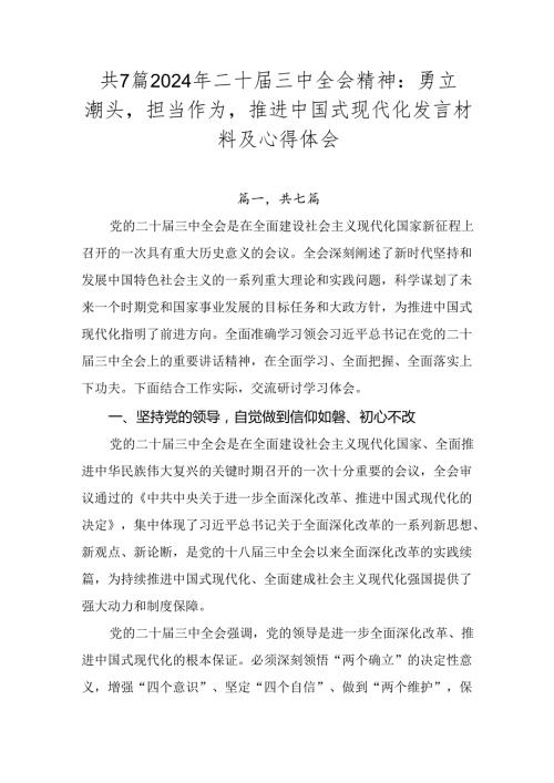 共7篇2024年二十三中全会精神：勇立潮头担当作为推进中国式现代化发言材料及心得体会.docx